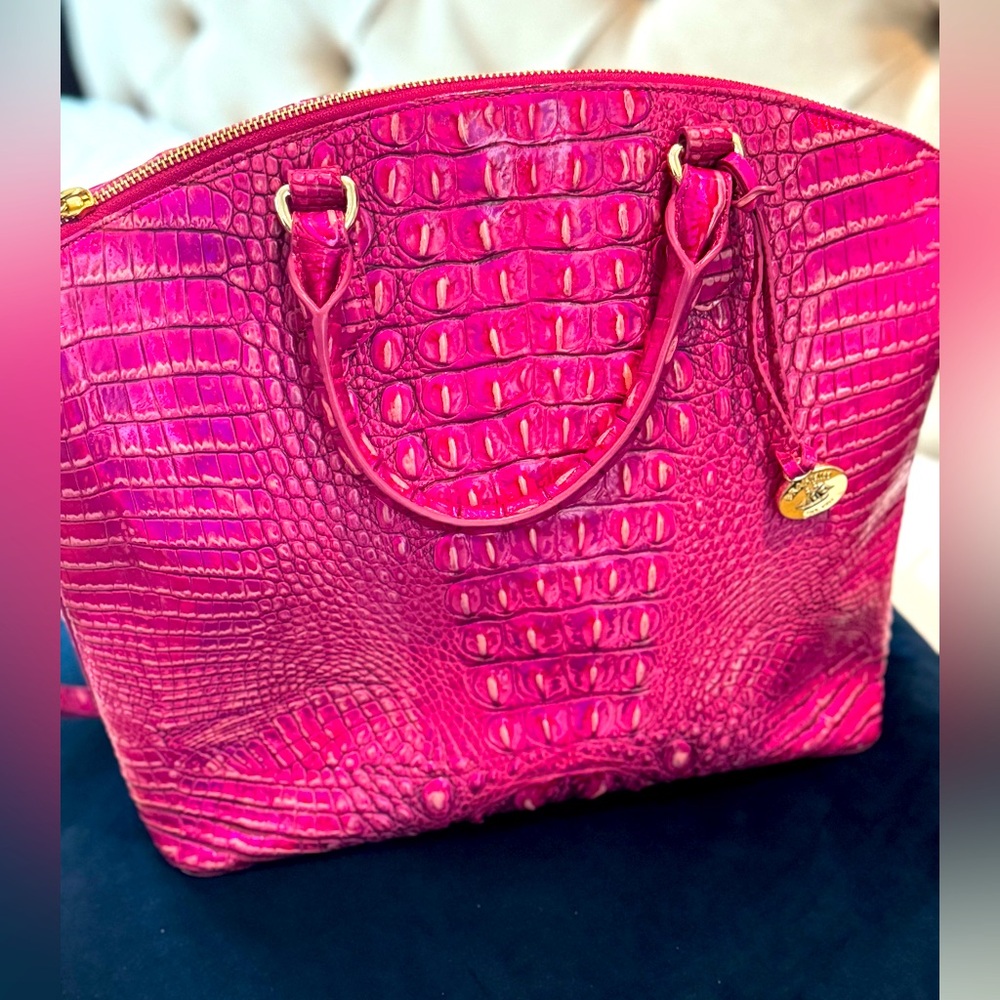 Carried one time - Brahmin Bag